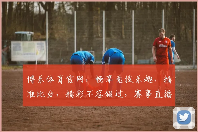 博乐体育官网，畅享竞技乐趣，精准比分，精彩不容错过，赛事直播，尽在其中