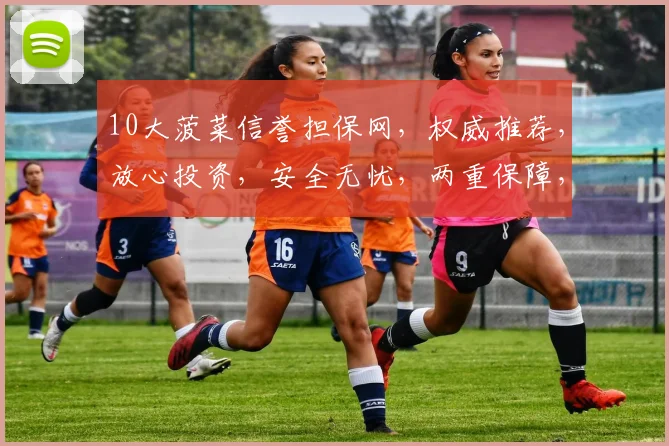 10大菠菜信誉担保网，权威推荐，放心投资，安全无忧，两重保障，投资首选