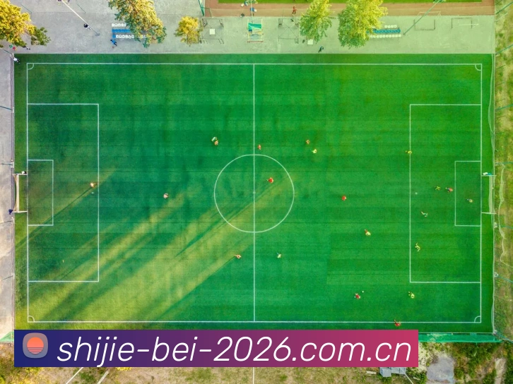 奖项图3